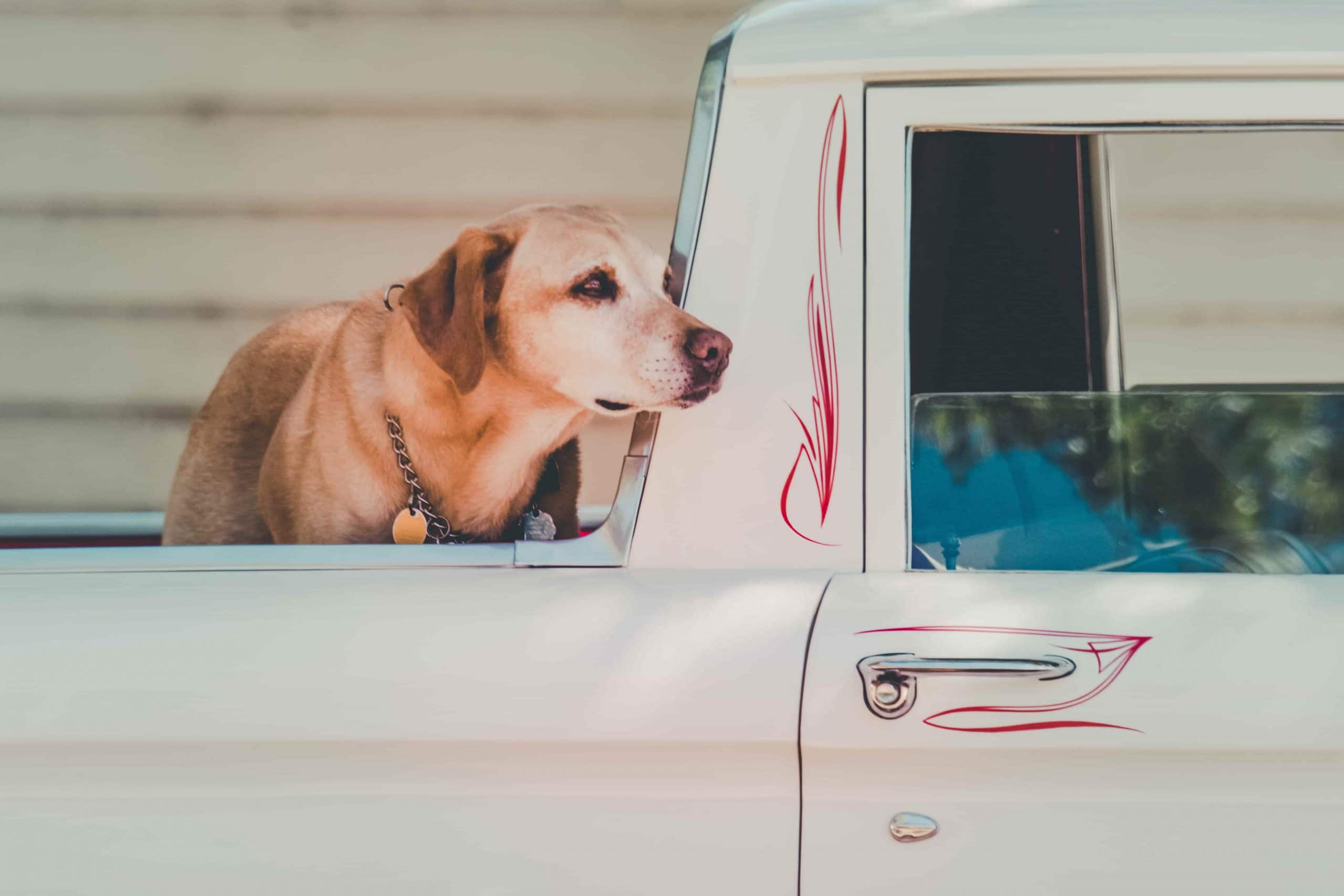 How to Prepare A Car for Transport: 7 Essential Steps To Take Before Your Car Transport Booking